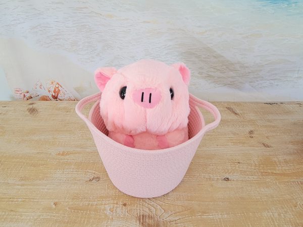 Cute Pink Washing Storage Basket