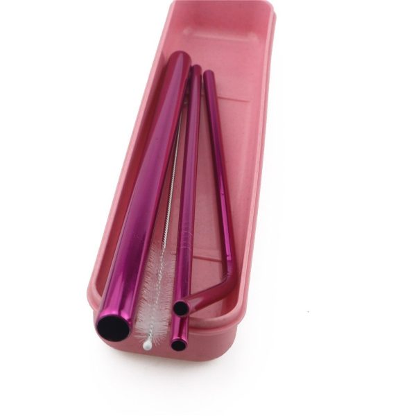 Pink Stainless Steel Straws/5pcs Set With Hard Case - Image 2